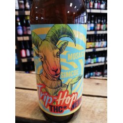 Brokreacja Trip-Hop Galaxy Mosaic Simcoe